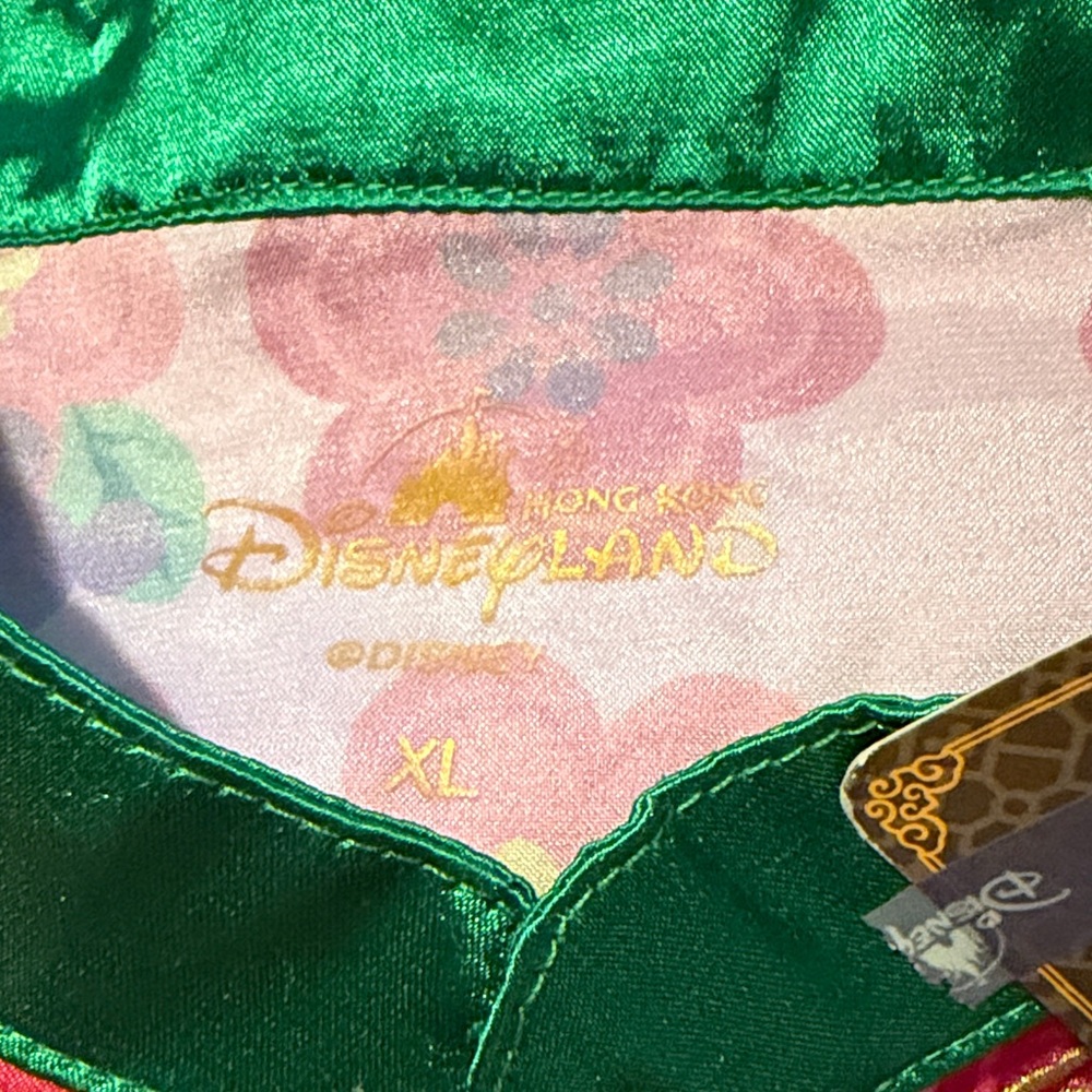 Disneyland Hong Kong - Picture 2 of 6